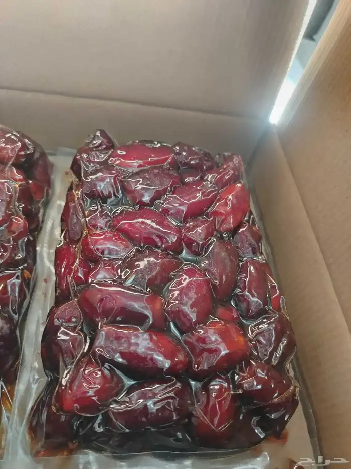 تمر مكنوز فاخر صقعي خضري 0