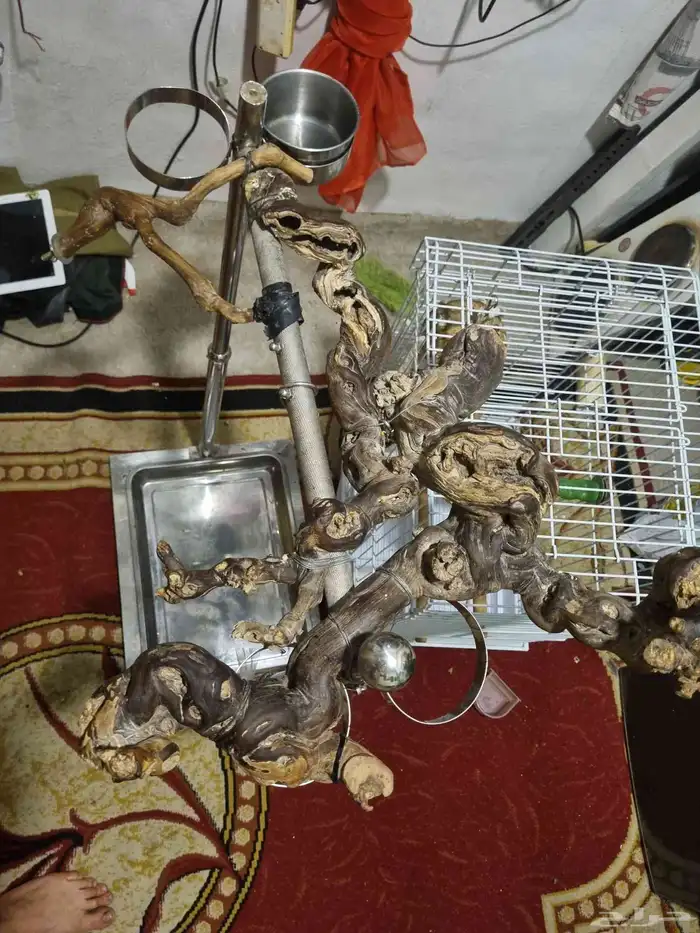 قفص مع استاند للطيور 0