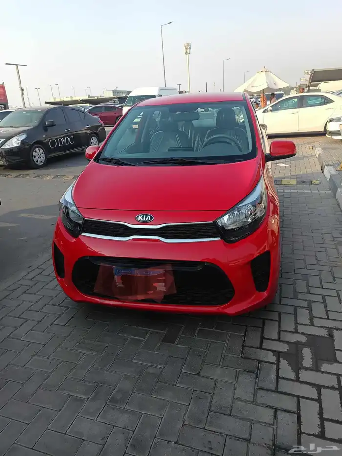 للبيع بيكاتو موديل 2020 2