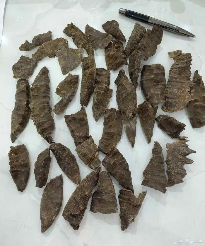 ثمن كيلو عود تشار هندي تربل فآخر 1