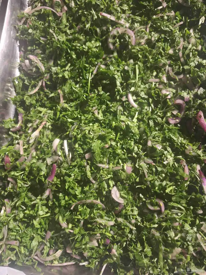 معلم شيف مشويات خارجي الدمام والخبر وكافة المنطقة الشرقية 14