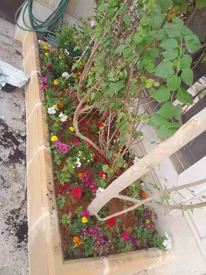 مشتل تنسيق حدائق 4