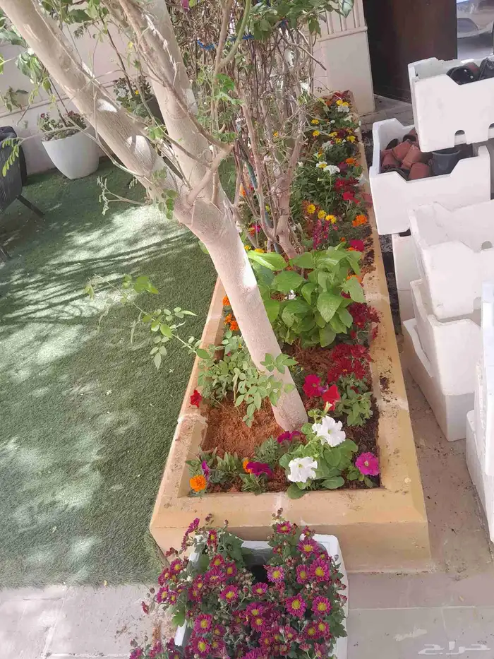 مشتل تنسيق حدائق 2