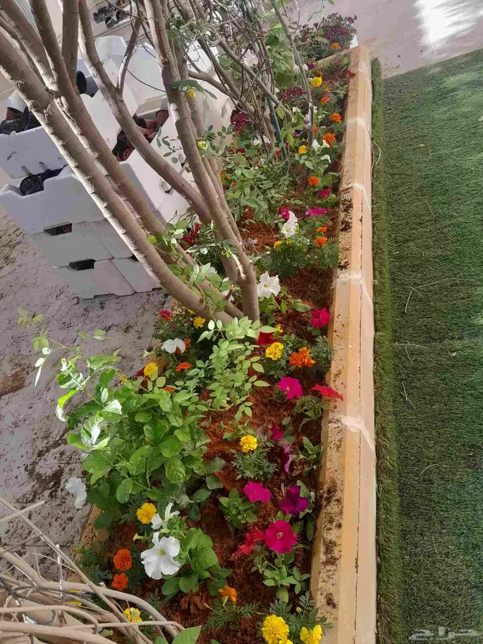 مشتل تنسيق حدائق 0