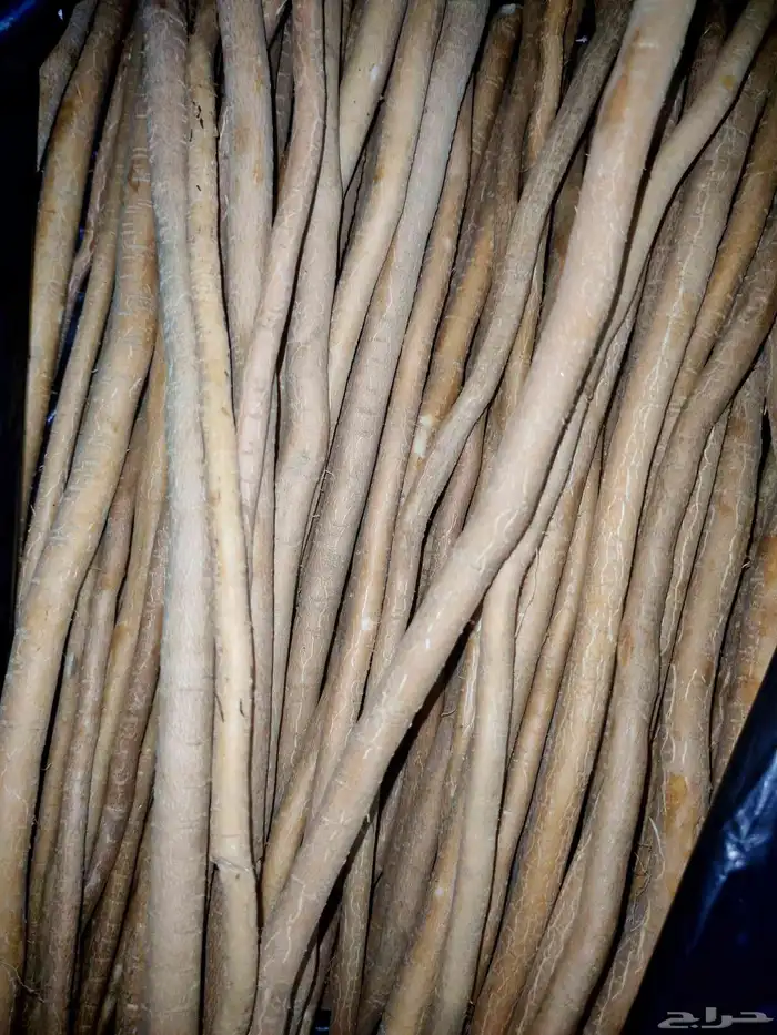 مسواك ربطه ب 35 والثاني مجانا عرض الجمعه عرض 6   11 0