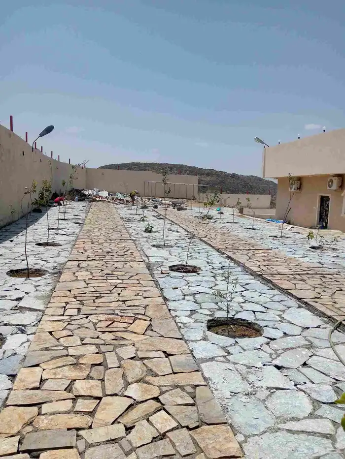 ابداع وتفنن 21