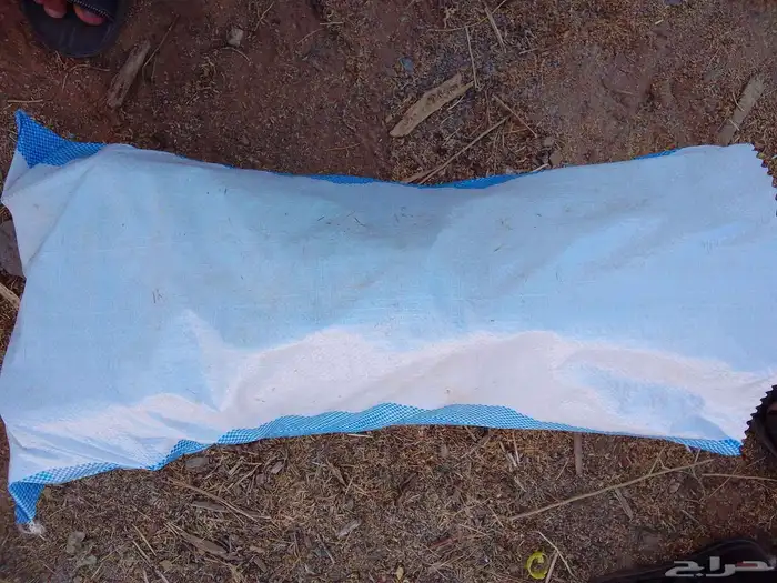 يتوفر خياش سمر مع التوصيل شرط خيشه حجم 15 2