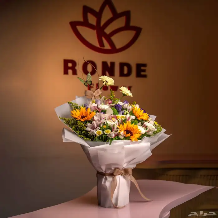 تصوير حفلات وإعلانات 5