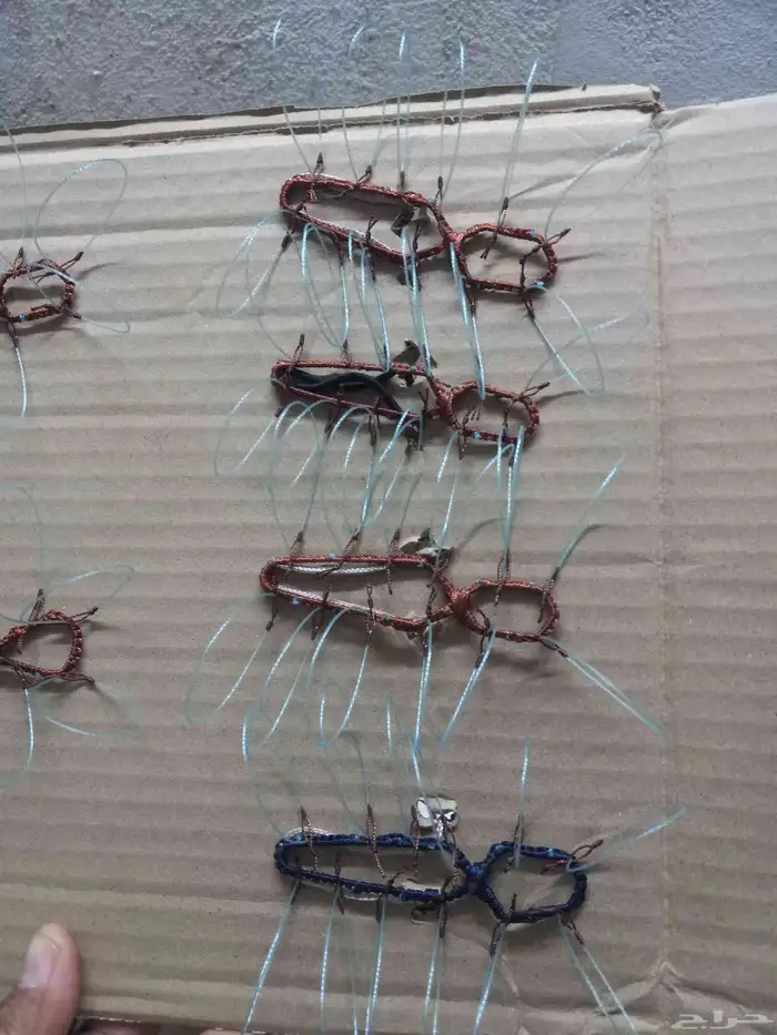 شبك لطرح الصقور 2