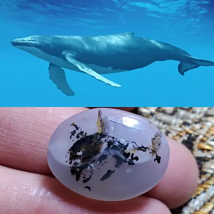 حجر عقيق يمني مصور حوت طبيعي 0