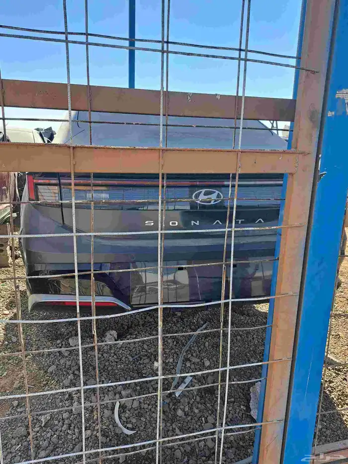 سوناتا. 2024 0