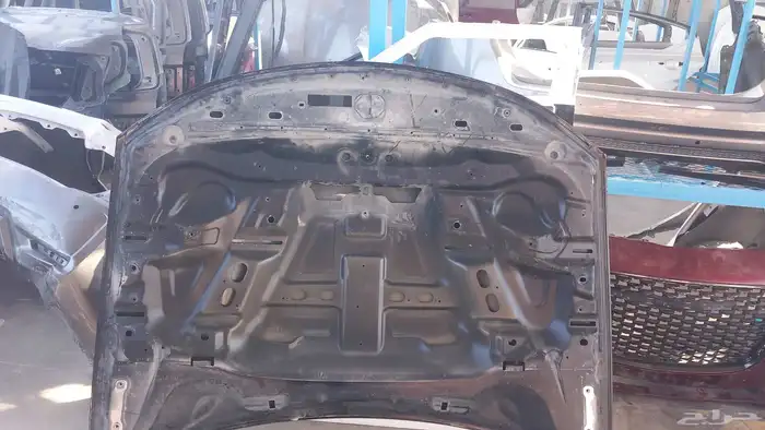 كبوت دوج شارجر 2020 1