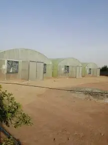 معلم بيوت محميه وصلات زراعيه 6