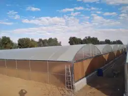 معلم بيوت محميه وصلات زراعيه 5