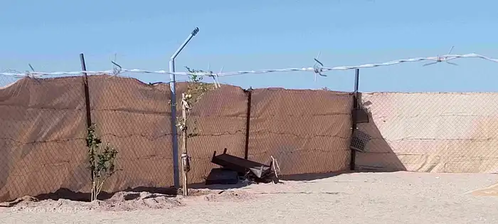 غنم ضان ومعزا بالإستراحة كامله ( في تثليث ) طريق آل قير 5