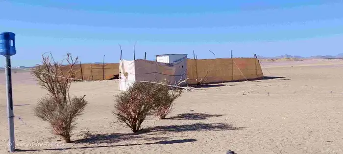 غنم ضان ومعزا بالإستراحة كامله ( في تثليث ) طريق آل قير 1