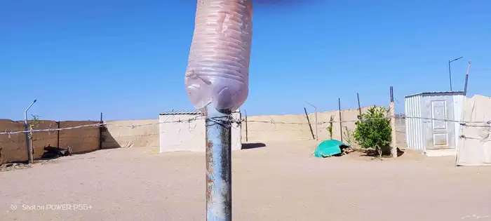 غنم ضان ومعزا بالإستراحة كامله ( في تثليث ) طريق آل قير 0