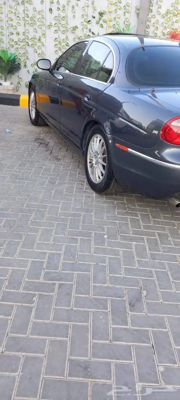 جاكور styp 2008 9