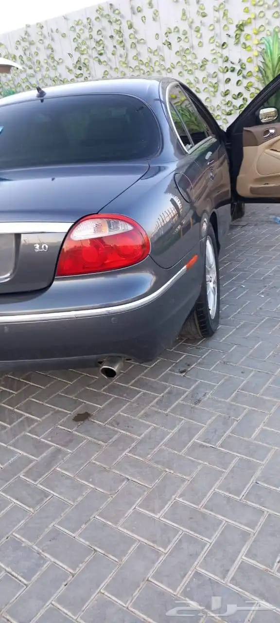 جاكور styp 2008 6