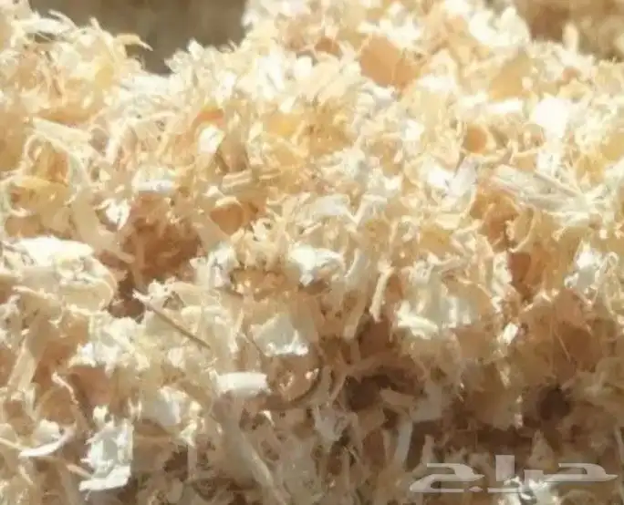 نشارة خشب جدا نظيفه لمزارع الدواجن وجميع الحيوانات الأليفه 0