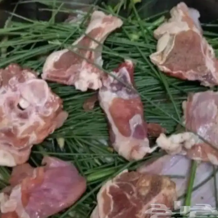 مرخ طازجللبيع 0