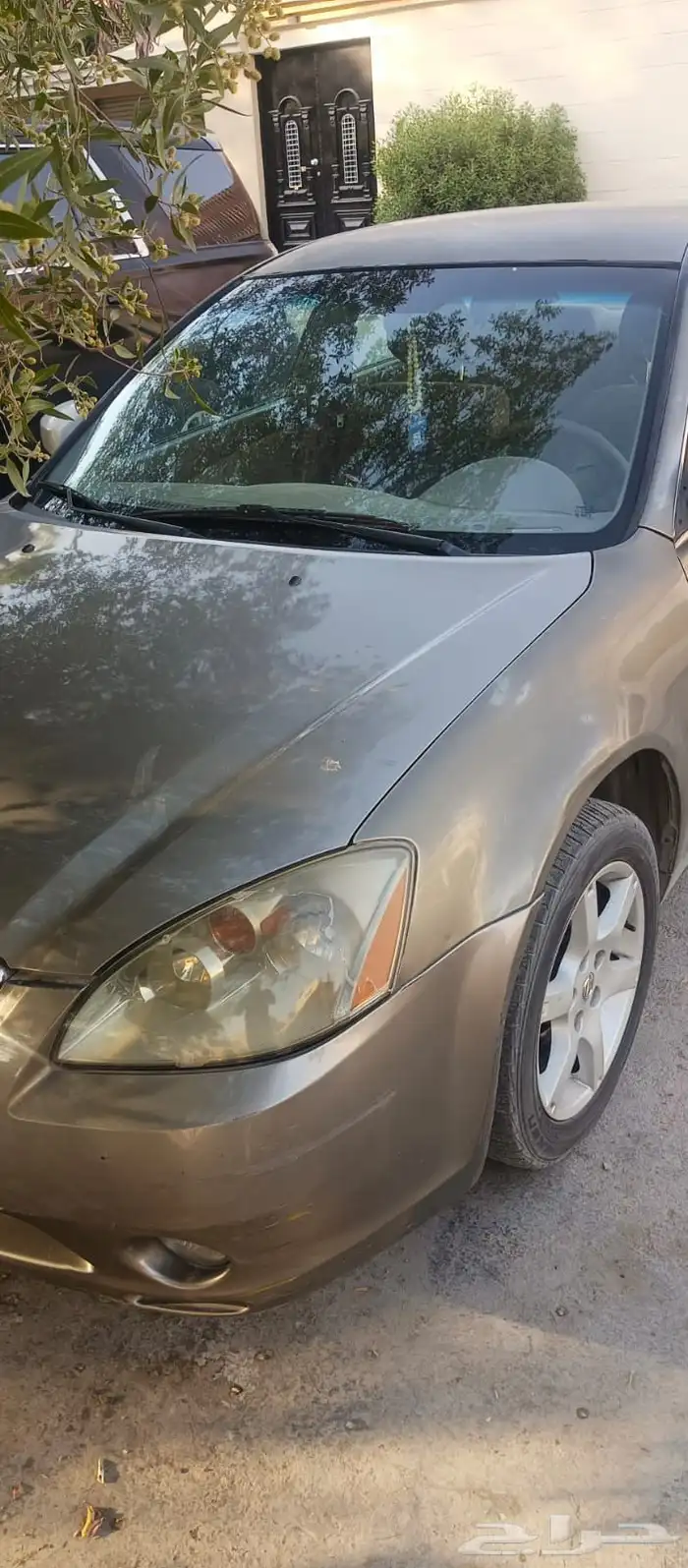 Nissan Altima 2006 1