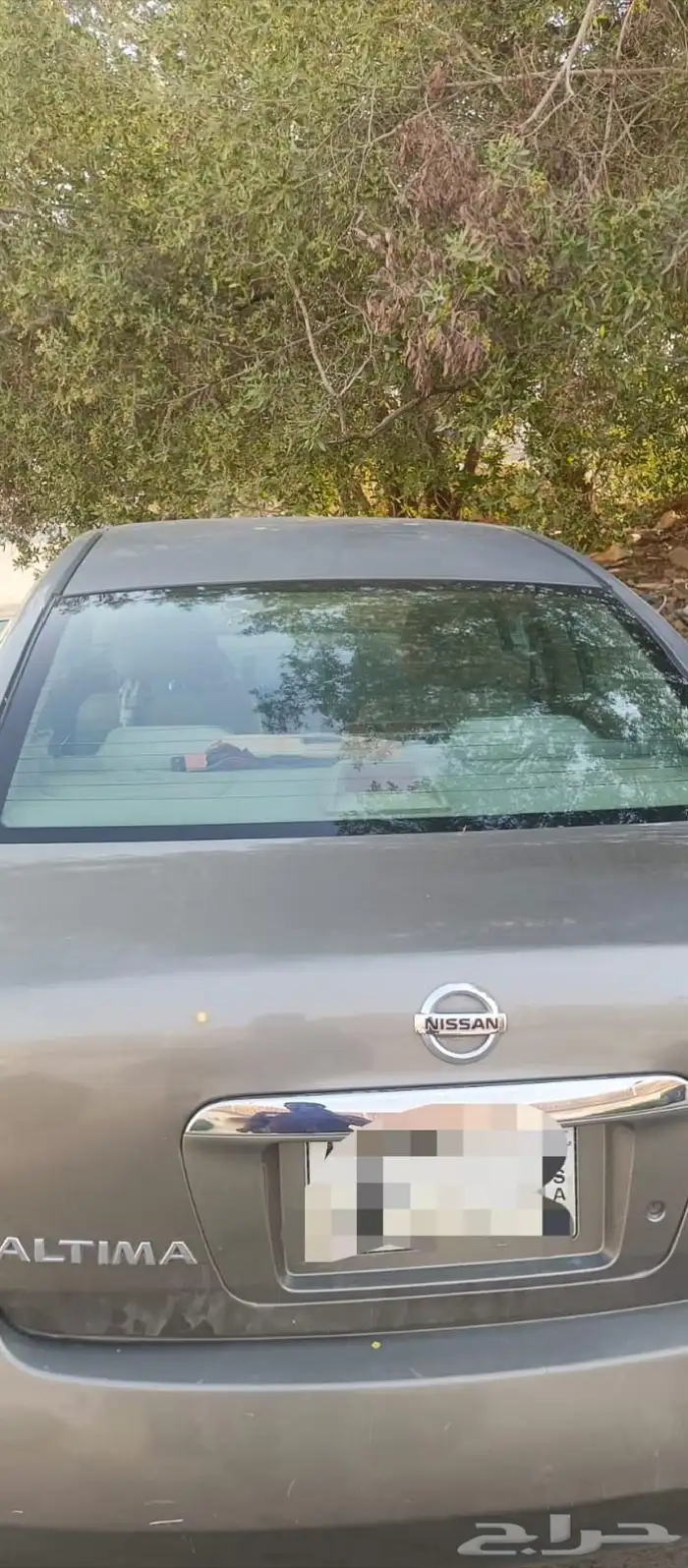 Nissan Altima 2006 0