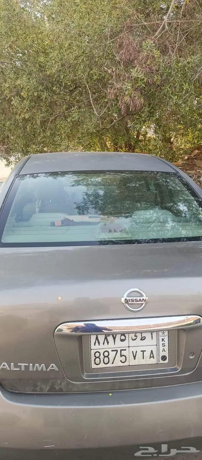 Nissan Altima 2006 2