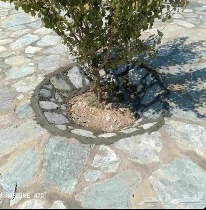 ابداع وتفنن 25