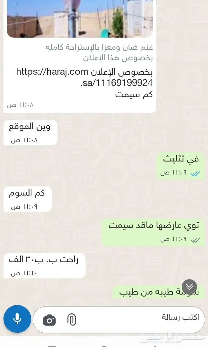 غنم ضان ومعزا بالإستراحة كامله ( في تثليث ) طريق آل قير 13