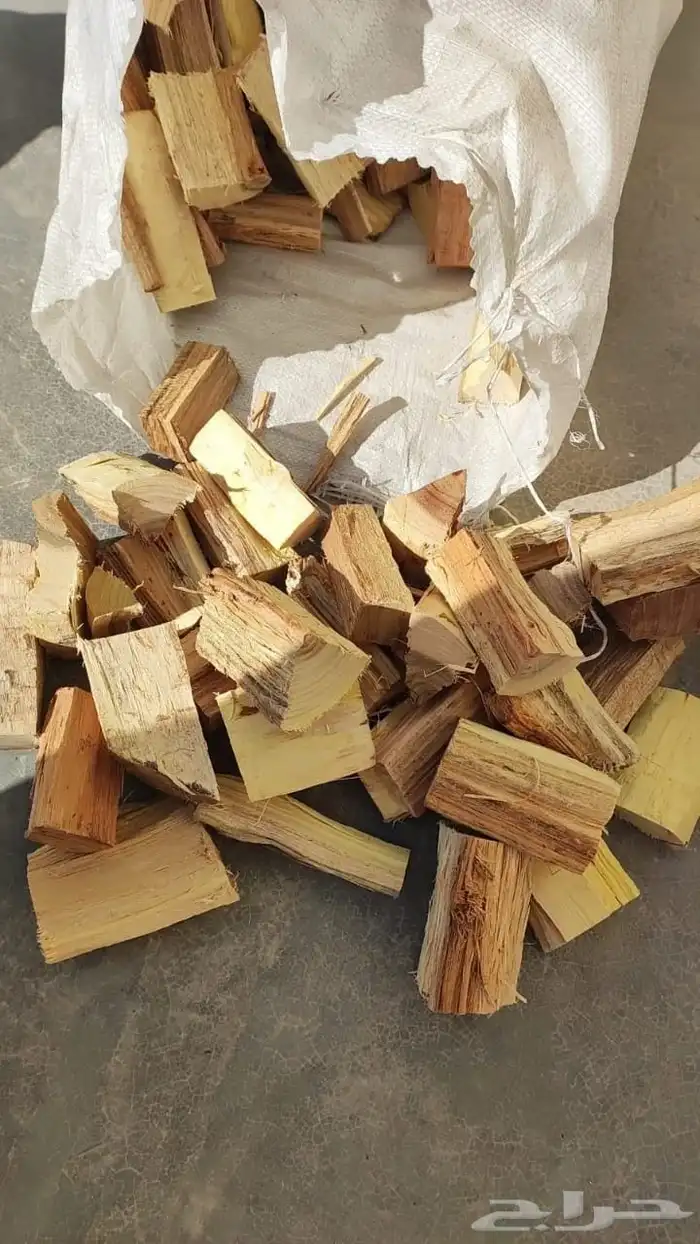 حطب طلح سوداني شاف 9