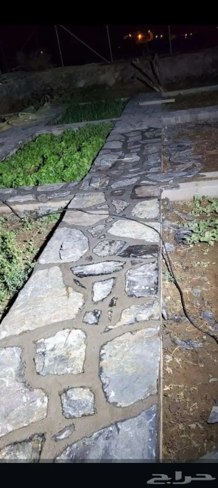 ابداع وتفنن 19