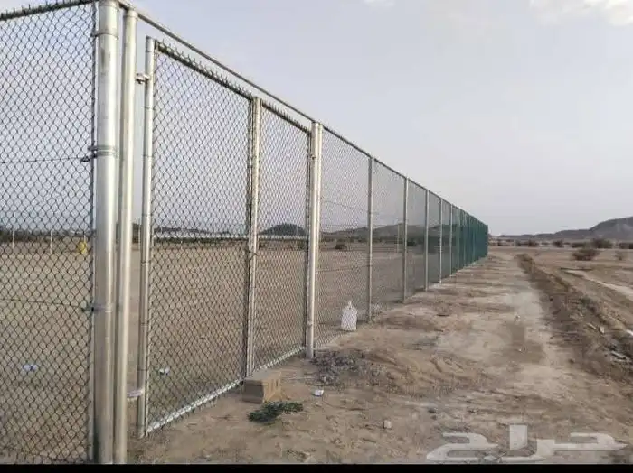 متخصصون في جميع نواع النخيل عربي واشنطونياء جميع المقاسات نو 9