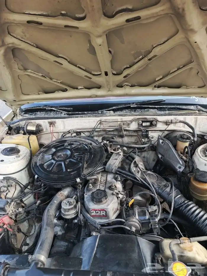 كراسيدا1988 8