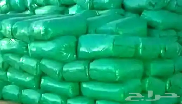 نشارة خشب جدا نظيفه لمزارع الدواجن وجميع الحيوانات الأليفه 3