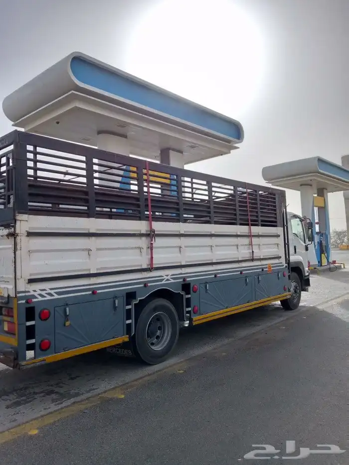 دينا دينه جده كرين دينه شبك سته متر 0