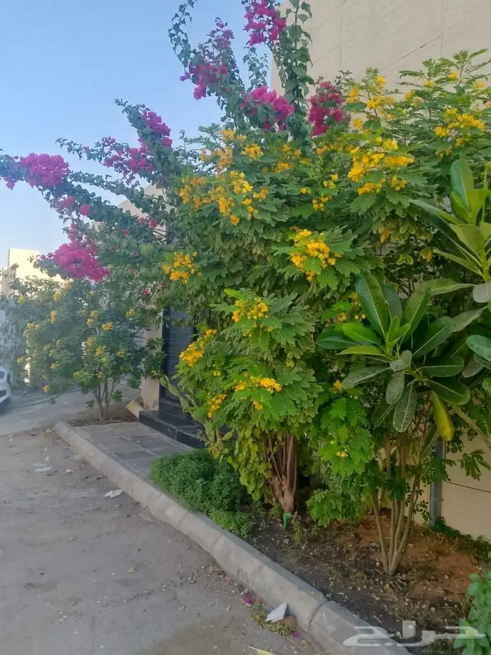 مشتل تنسيق حدائق 8