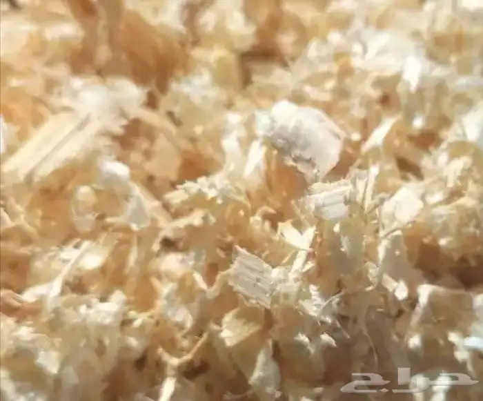 نشارة خشب جدا نظيفه لمزارع الدواجن وجميع الحيوانات الأليفه 1