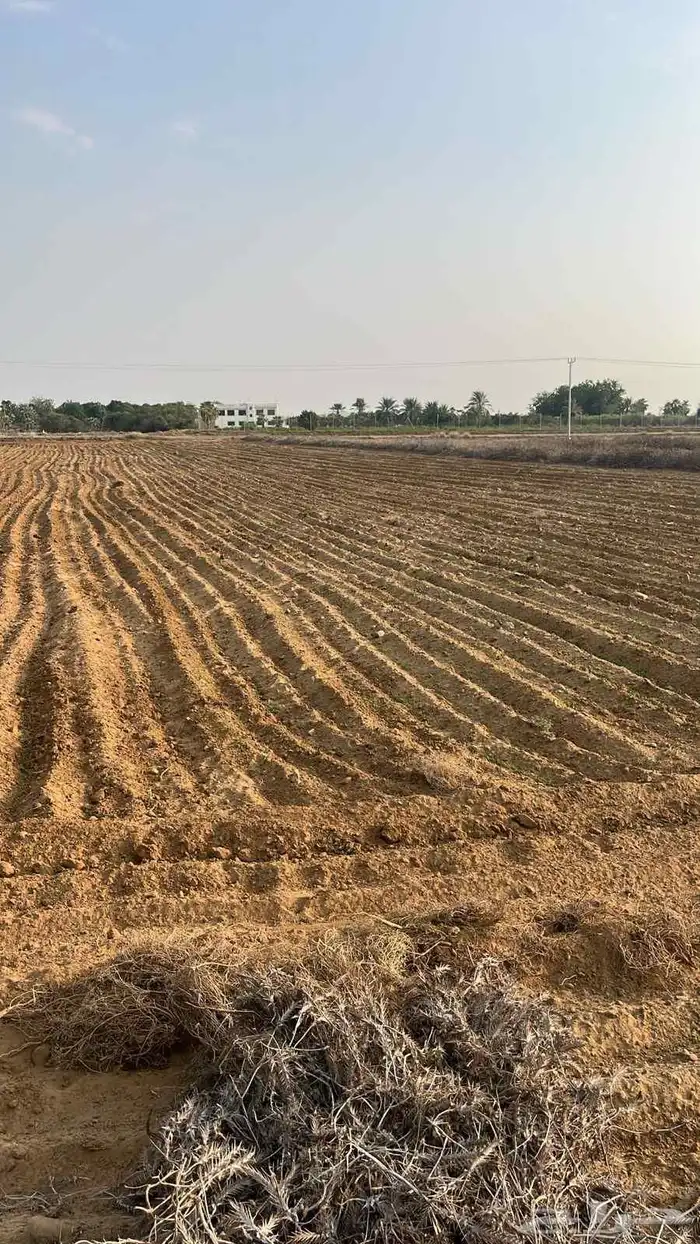 للبيع ارض في درة العروس ابو عريش 5