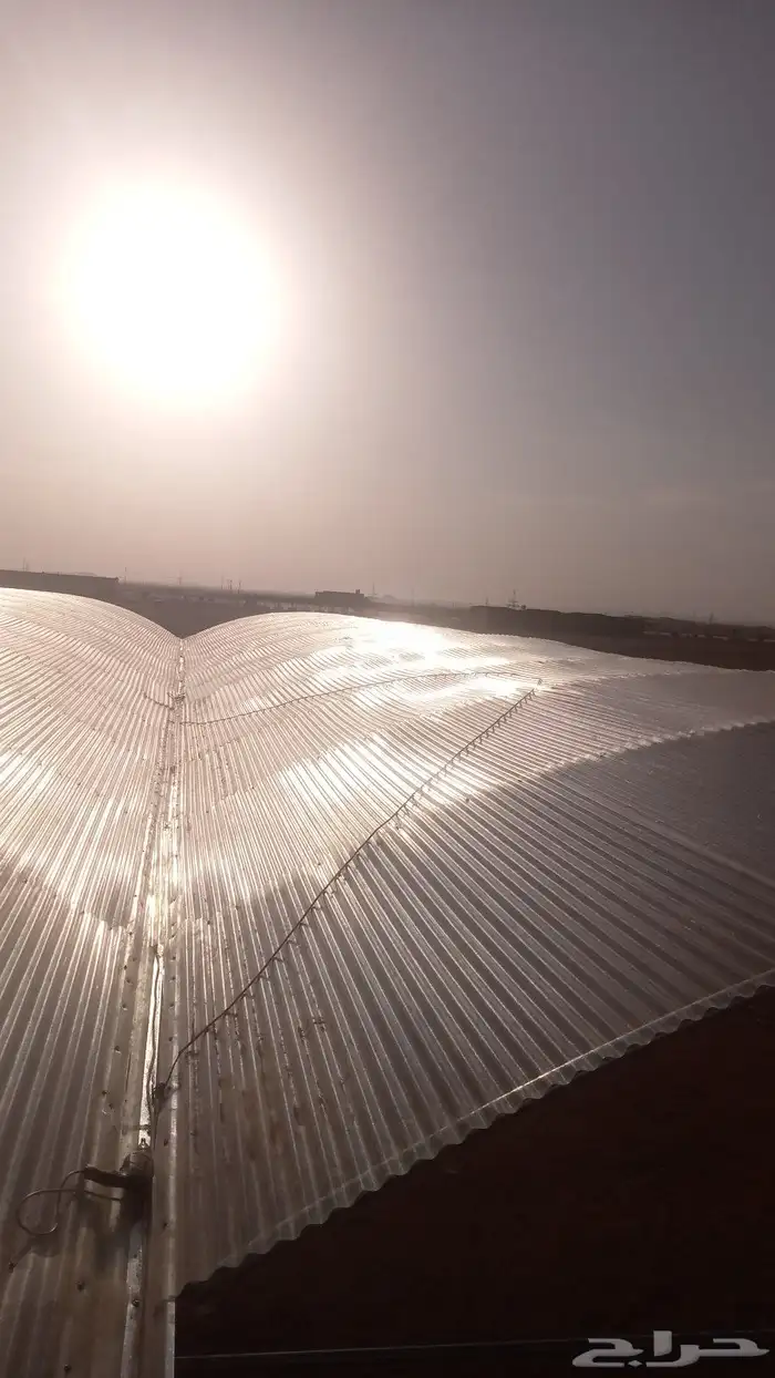 معلم بيوت محميه وصلات زراعيه 7