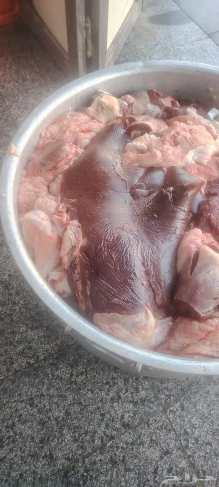 كبده حاشي طازجه بلدي كبده لحم متوفره بشكل يومي 2