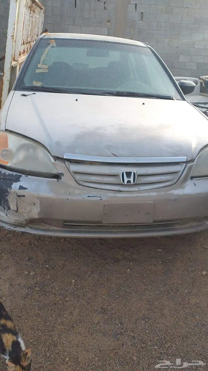 اصحاب السكراب والمكابس بودي هوندا للبيع 1