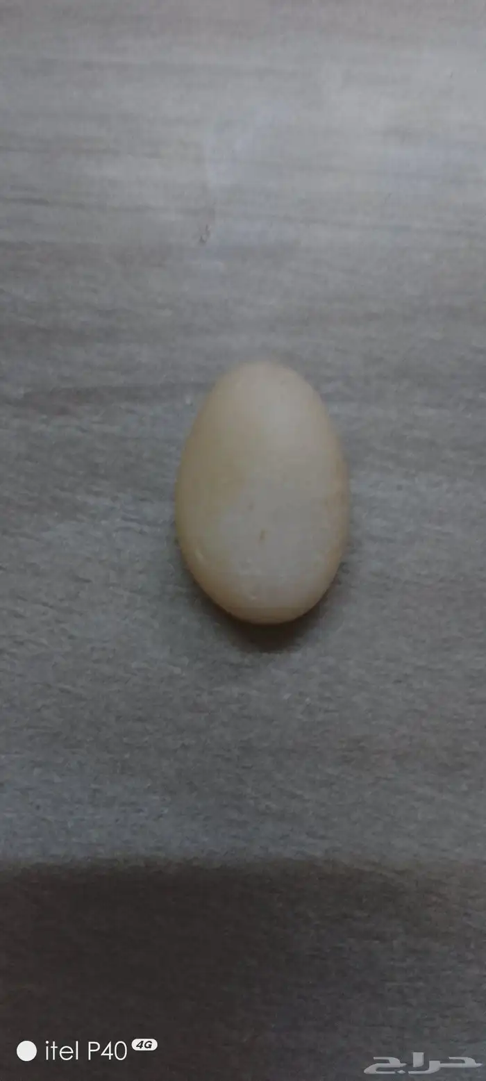 أحجار كريمه 0