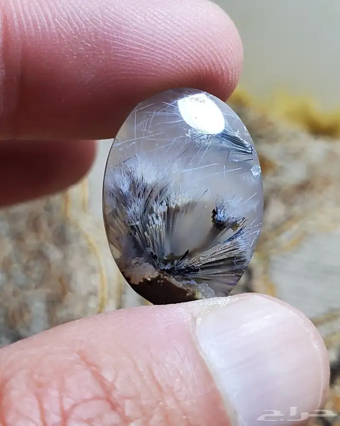 حجر عقيق يمني مصور حوت طبيعي 4