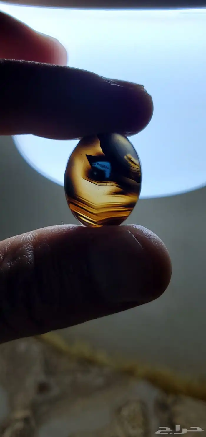 حجر عقيق يمني مصور حوت طبيعي 9