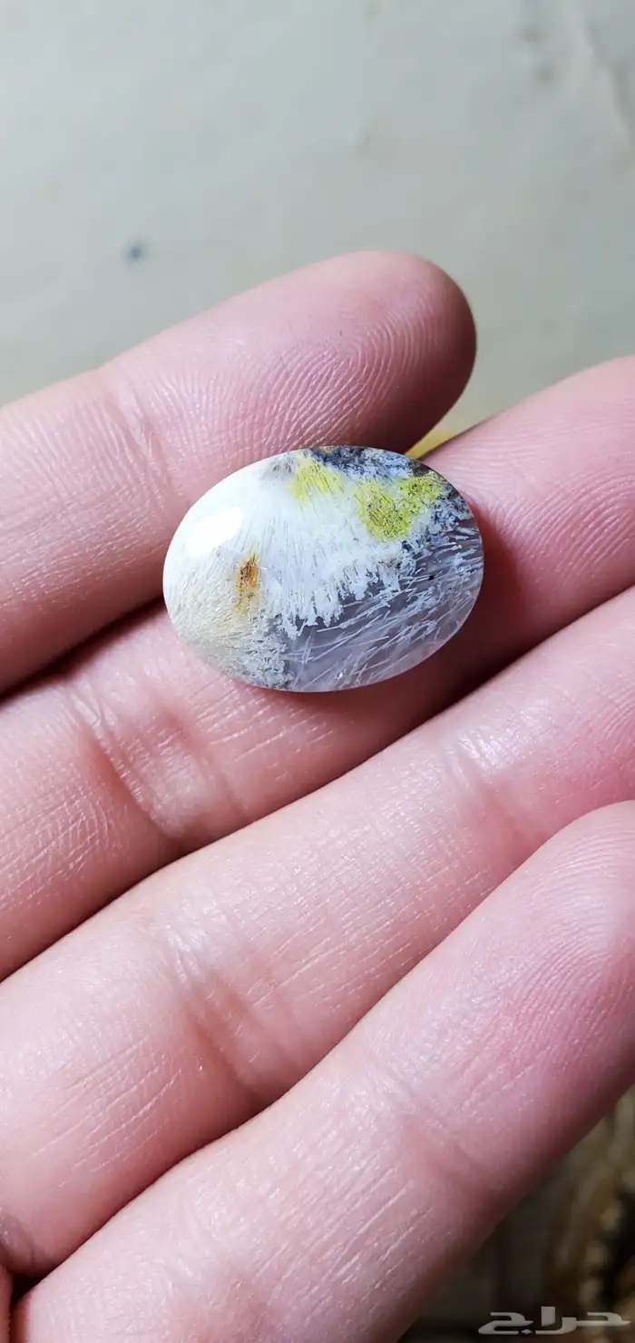 حجر عقيق يمني مصور حوت طبيعي 5