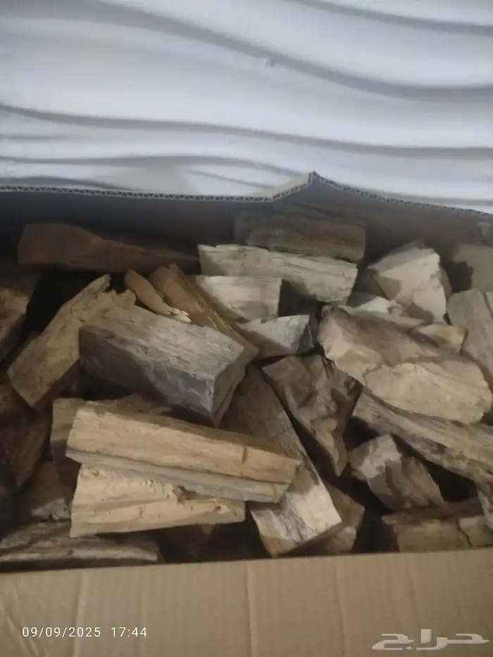 حطب طلح سوداني شاف 0