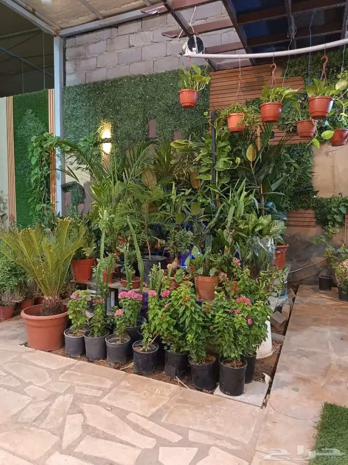 منسق حدائق وتركيب جميع شبكات الري العادي والاتمتك 9