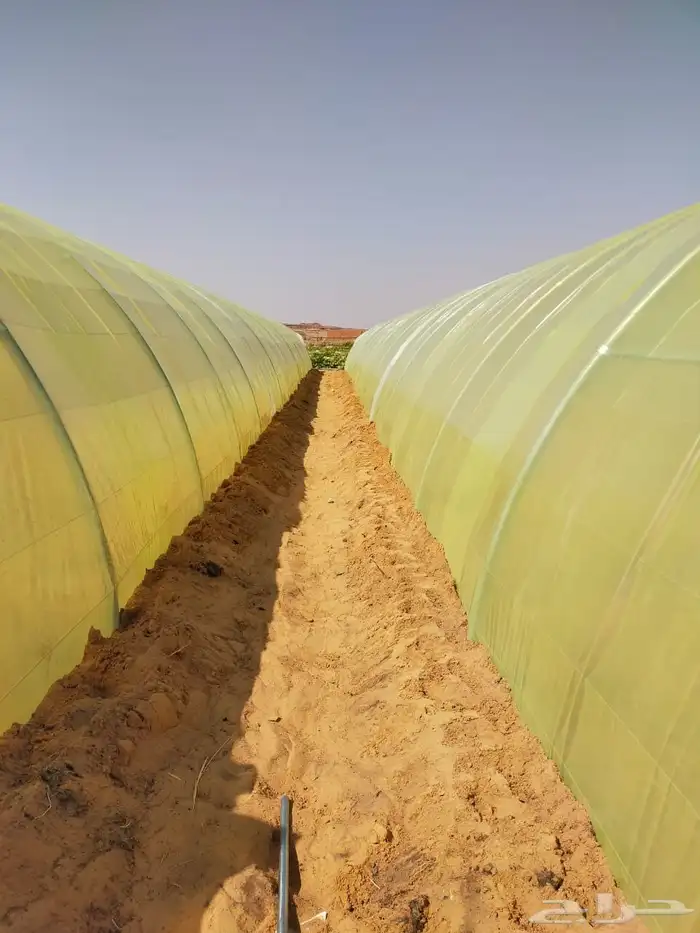 بلاستيك للبيوت المحميه وبيع وتركيب بيوت محمية وصالات زراعية 1