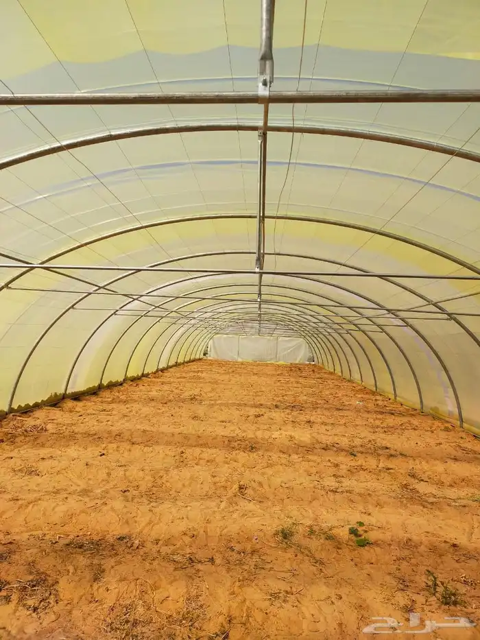بلاستيك للبيوت المحميه وبيع وتركيب بيوت محمية وصالات زراعية 2